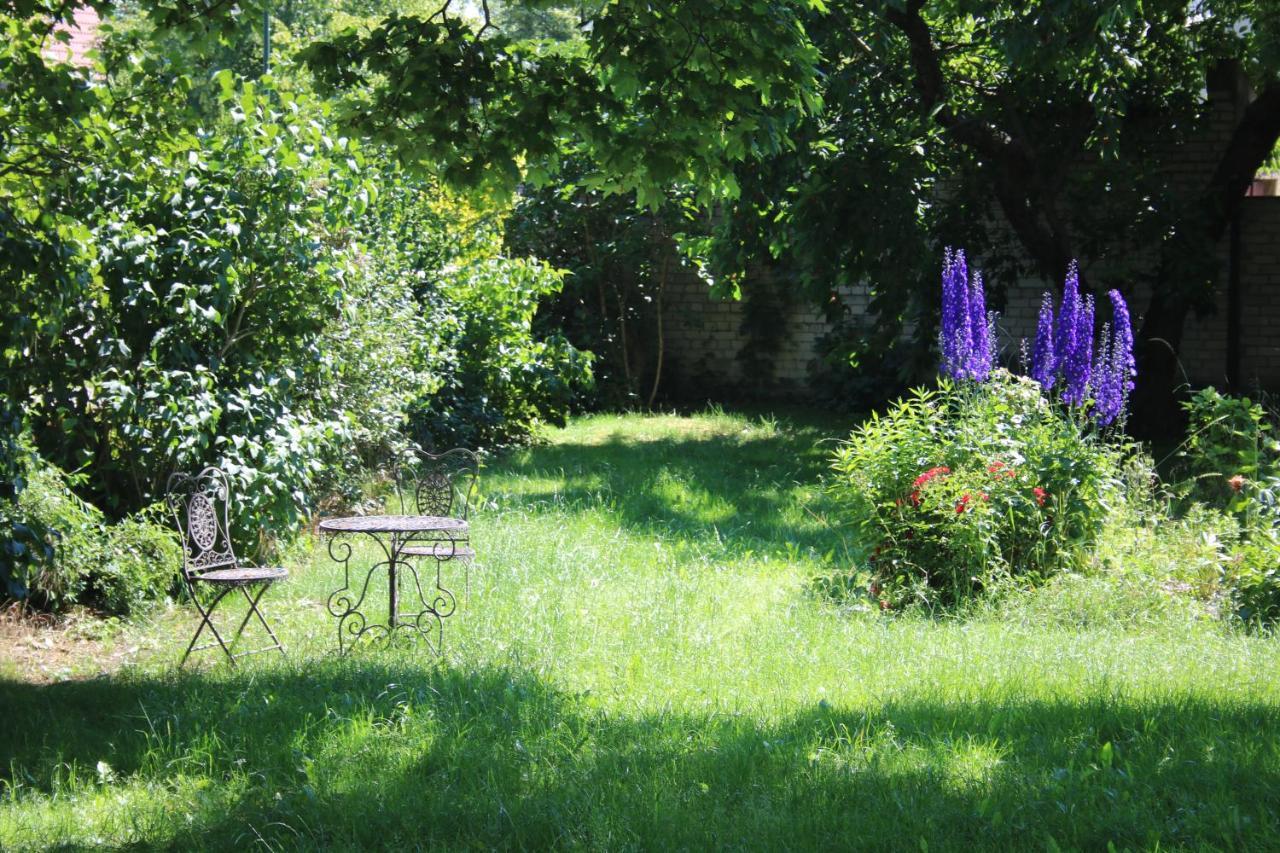 Ferienwohnung Am Weltnaturerbe Grumsin Ziehten 외부 사진