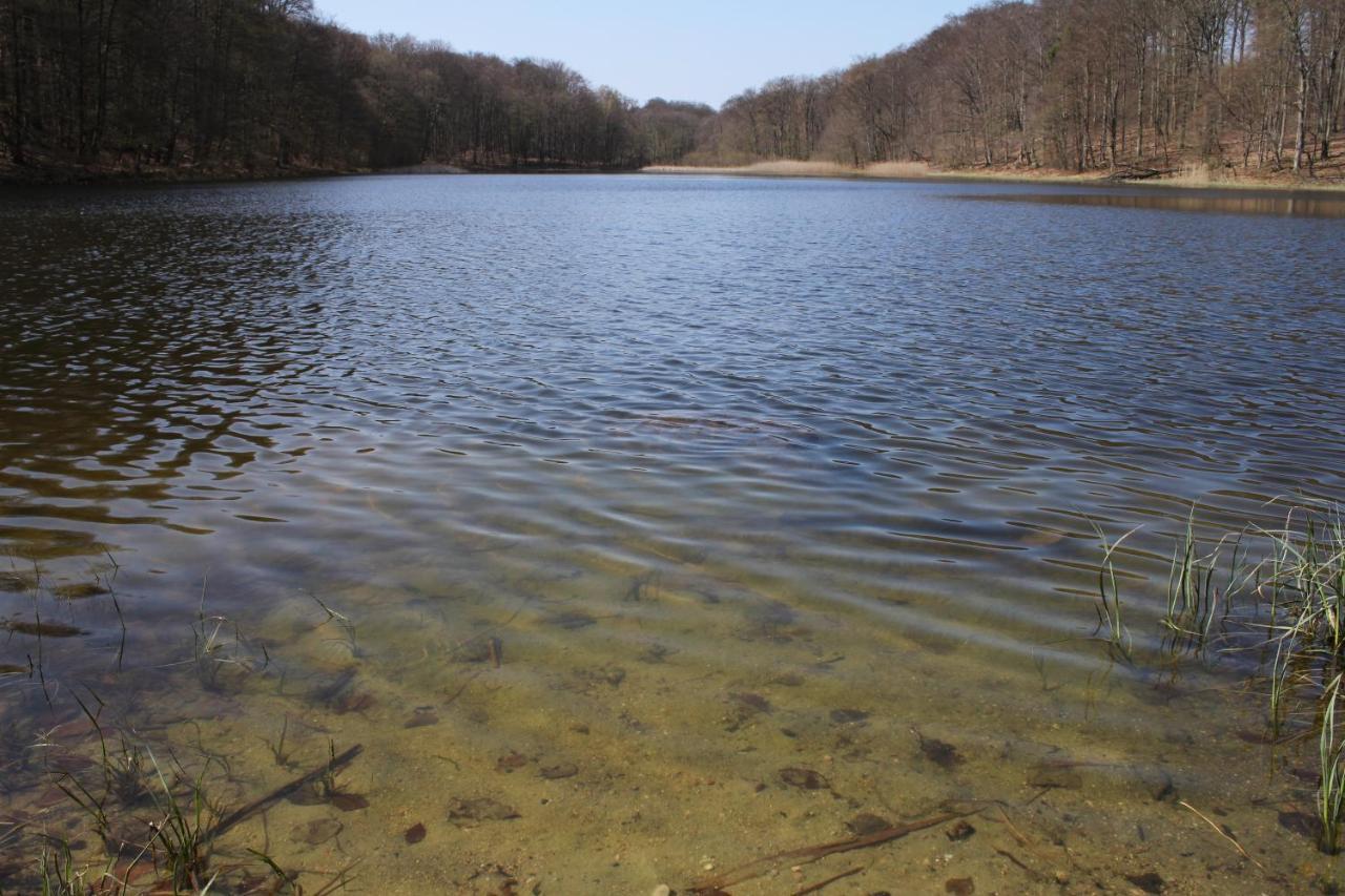 Ferienwohnung Am Weltnaturerbe Grumsin Ziehten 외부 사진